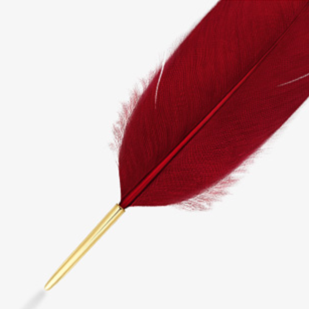 S.Leaf Feather Brooch